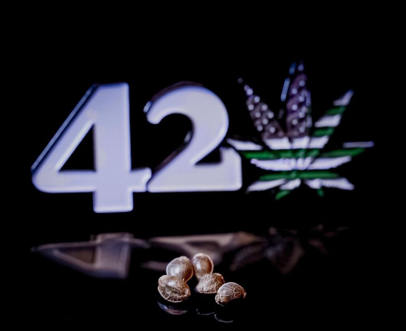 Fast Buds Seeds