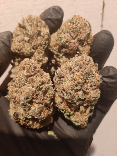 Papaya Sherbet