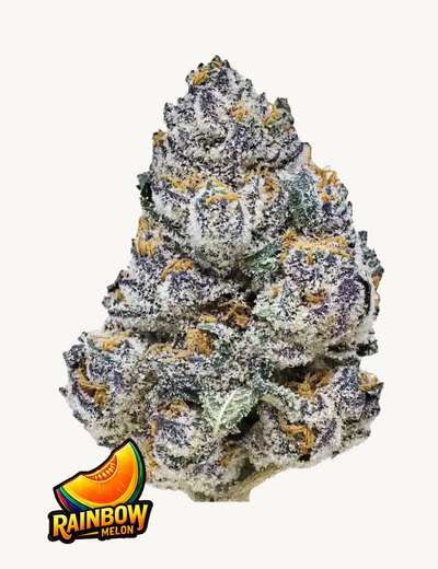Rainbow Melon