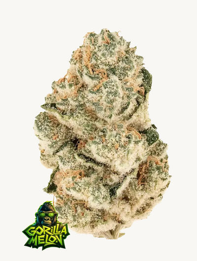 Gorilla Melon
