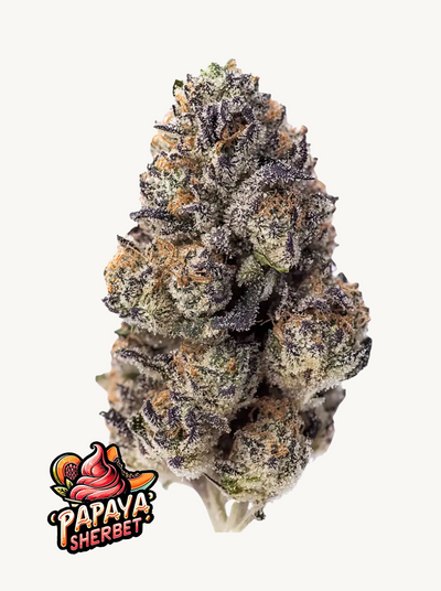 Papaya Sherbet