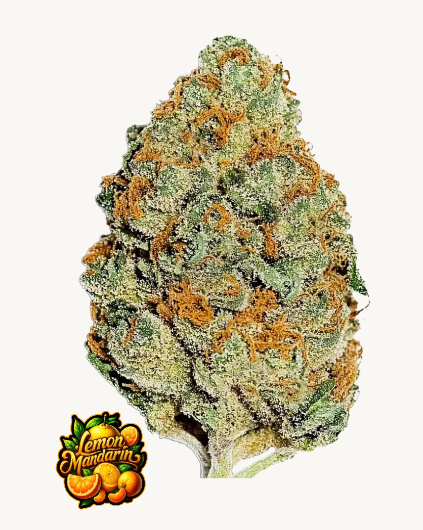 Lemon Mandarin