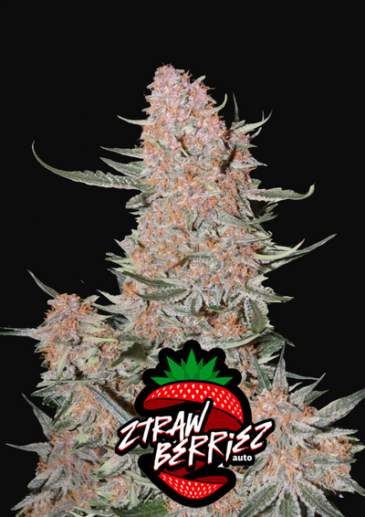 Ztrawberriez