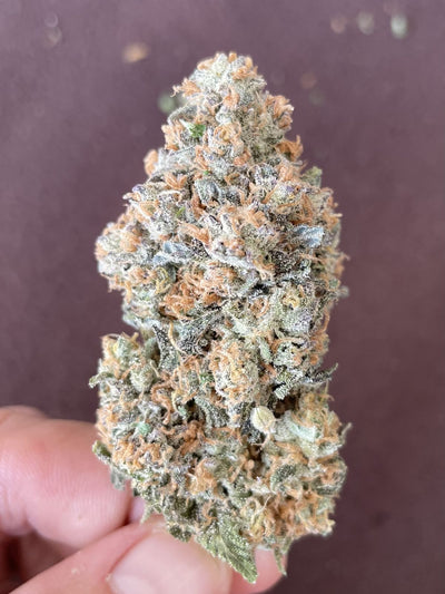 Papaya Sherbet