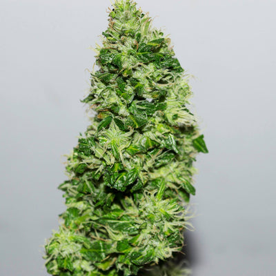 CBD Crack