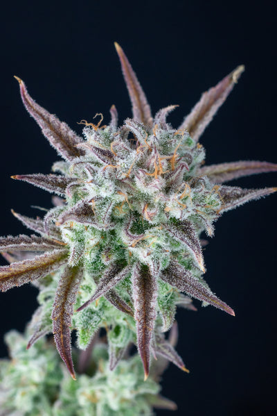 Strawberry Banana
