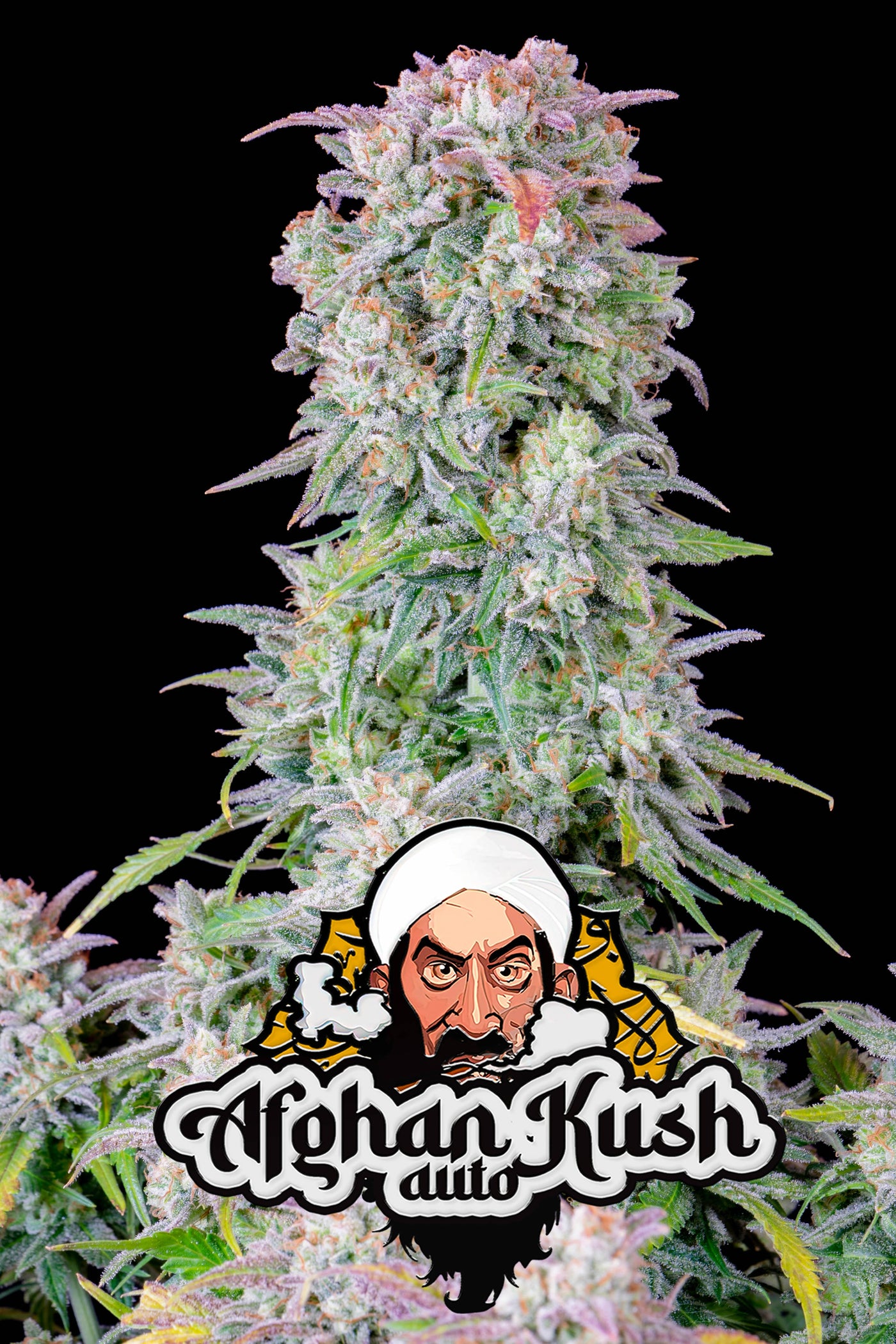 Afghan Kush Auto