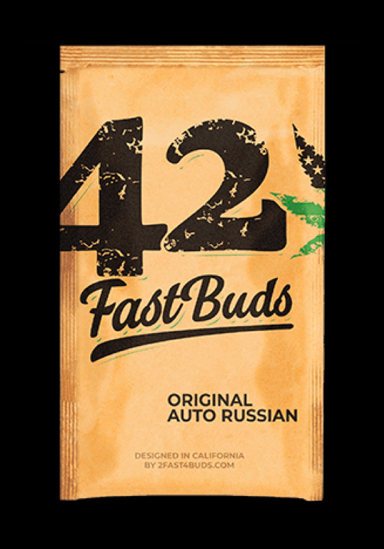 Russian Baccknn