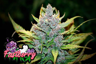 Fastberry