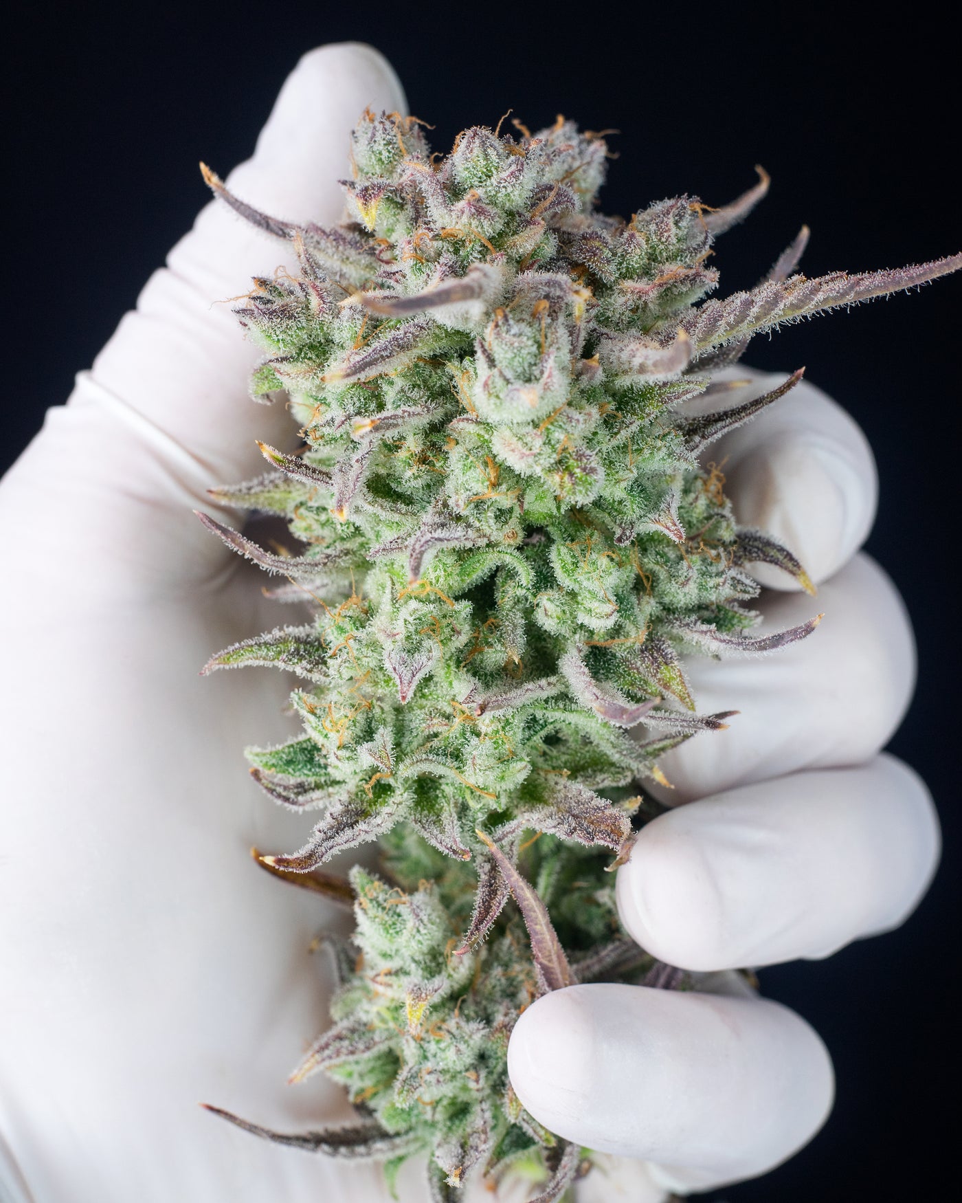 Strawberry Banana