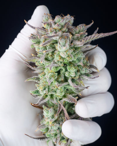 Strawberry Banana