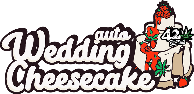 Wedding Cheesecake