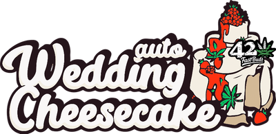 Wedding Cheesecake