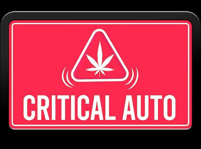 Critical Autoi