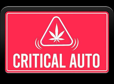 Critical Autoi