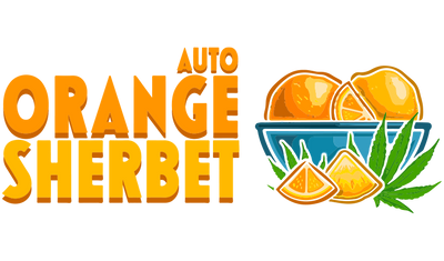 Orange sherbet